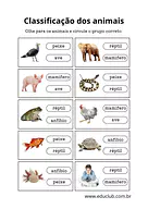 Atividade de classificação dos animais 2 ano para 2º Ano de Ciências, Seres Vivos - Material educacional