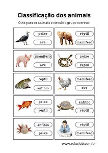 Atividade de classificação dos animais 2 ano