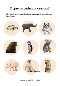Herbívoro ou carnívoro?