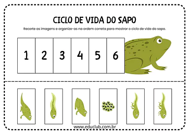 Ciclo de vida do sapo para Educação Infantil para Pré-Escola de Ciências, Ciclos de vida - Material educacional