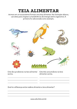 Atividade teia alimentar 4 ano Atividade teia alimentar 4 ano para 4º Ano de Ciências, Alimentos - Material educacional