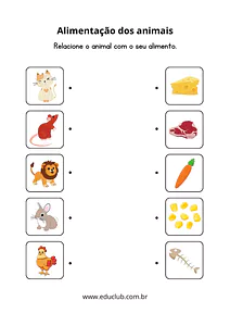 Atividade sobre alimentação dos animais
