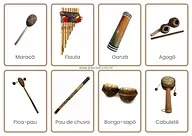 Instrumentos indígenas