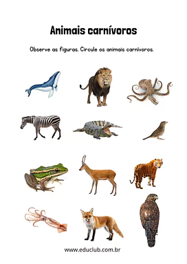 Atividade sobre animais carnívoros Atividade sobre animais carnívoros para 2º Ano, 1º Ano de Ciências, Seres Vivos - Material educacional
