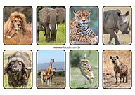 Animais africanos Animais africanos para Creche, Pré-Escola de Língua Portuguesa, Ciências, Seres Vivos, Vocabulário, África - Material educ...