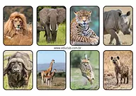 Animais africanos