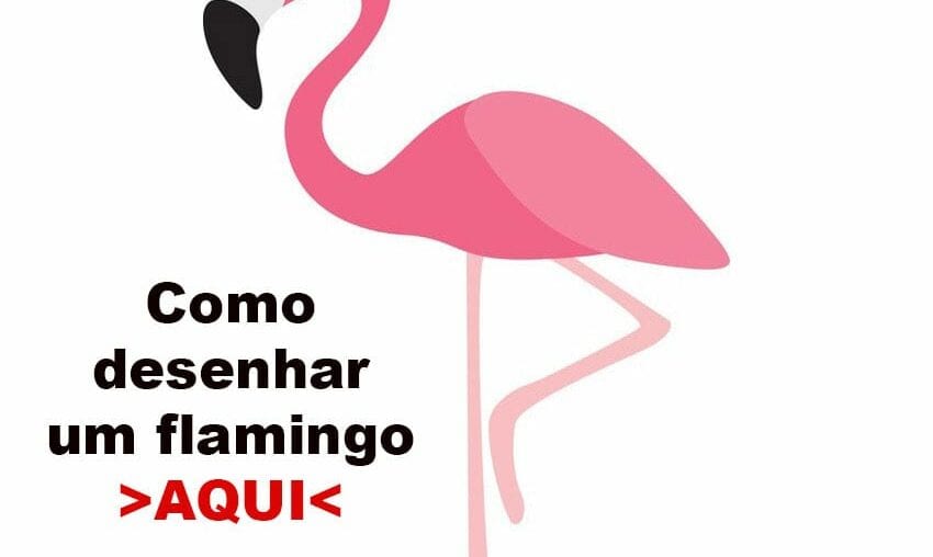 como-desenhar-flamingo