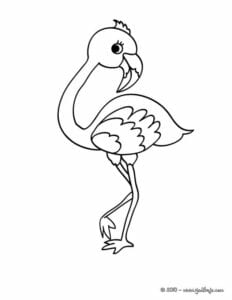 desenhos de flamingo para colorir, pintar e imprimir