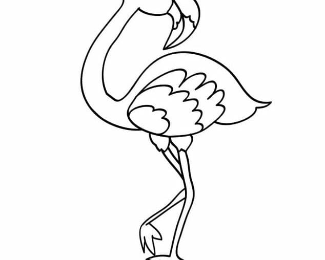 desenhos de flamingo para colorir, pintar e imprimir