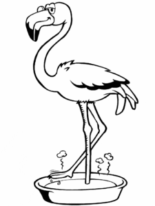 desenhos de flamingo para imprimir