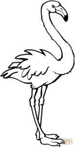 desenhos de flamingo para pintar