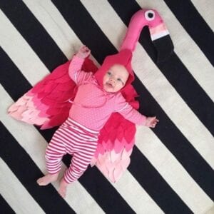 Fantasia de flamingo para bebê