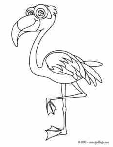 pintar flamingo