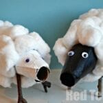 Animais com rolo de papel higiênico - ovelha