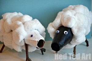 Animais com rolo de papel higiênico - ovelha