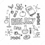 capas cadernos personalizados biologia