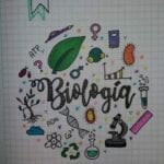 capas para cadernos personalizados biologia