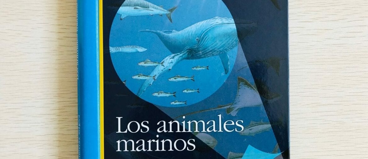 livro os animais marinhos com lanterna