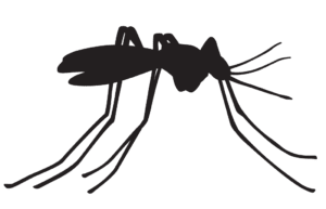 silhueta de mosquito para imprimir