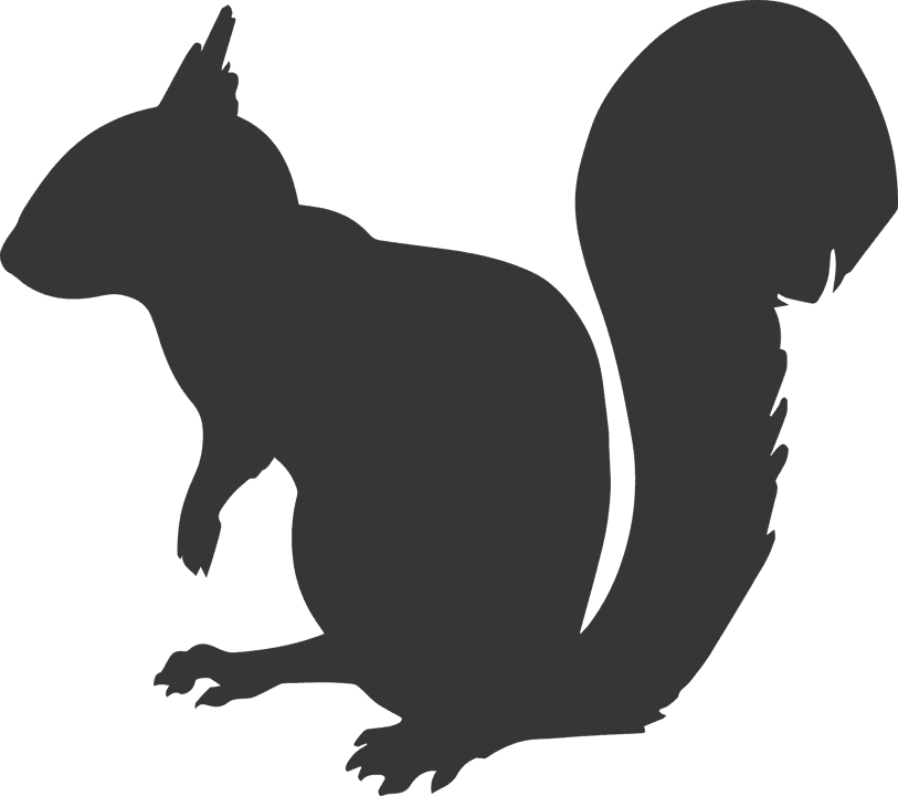 silhuetas de animais mamiferos para imprimir esquilo