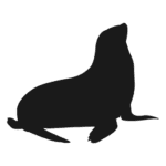 silhuetas de animais mamiferos para imprimir foca