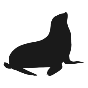 silhuetas de animais mamiferos para imprimir foca