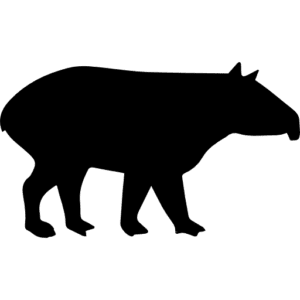 silhuetas de animais mamiferos para imprimir javali