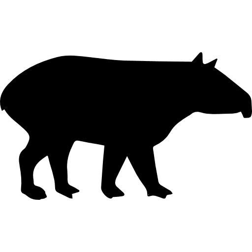 silhuetas de animais mamiferos para imprimir javali