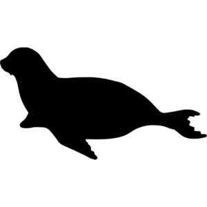 silhuetas de animais mamiferos para imprimir leao marinho