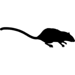 silhuetas de animais mamiferos para imprimir rato