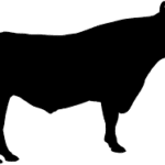 silhuetas de animais mamiferos para imprimir vaca
