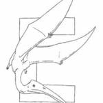 alfabeto de dinossauros para imprimir letra E