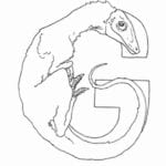 alfabeto de dinossauros para imprimir letra G