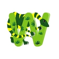 alfabeto ilustrado com dinossauros letra W