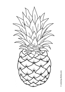 desenho para colorir abacaxi