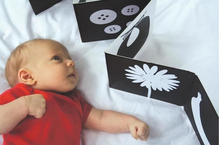 Livro de contraste para bebes