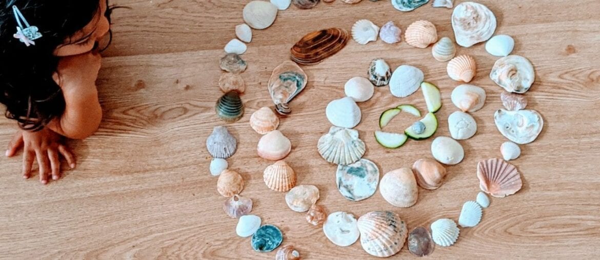 caracol com conchas do mar 02