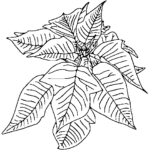 simbolos natalinos para colorir flor de pascoa